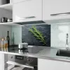 Küchenrückwand Spritzschutz Glas mit Motiv Rosmarinzweig Produktbild-Vorschau 2