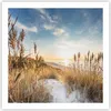 Poster - Poster ohne Rahmen - Ähren Küste Sonne - 60x60 cm Produktbild-Vorschau 1