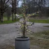 LED Lichterkette ,Dew Drop Micro, outdoor, warmweiß, 36m, Produktbild-Vorschau 5