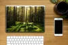 MuchoWow® Laptop Aufkleber Sticker Cover Bäume - Wald - Produktbild-Vorschau 2