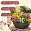Pflanzschale Rund mit Untersetzer Blumenschale Kunststoff Produktbild-Vorschau 6