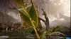A close-up of an ant on a plant stem in a misty forest setting. Produktbild-Vorschau