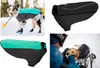 Ruffwear Hundejacke Cloud Chaser™ Soft Shell Jacket Aurora Produktbild-Vorschau 6