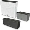 4x 18L květináč balkonový truhlík 58x19,5 cm bílý + Náhled obrázku produktu 8
