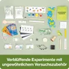 A collection of items for a science experiment kit, laid out on a light green background. Produktbild-Vorschau