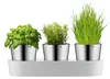 WMF Gourmet Indoor Jardin d'herbes aromatiques, 3 pièces Voir les images du produit 8