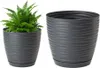 A potted fern plant and an empty pot with a saucer, both on a white background. Produktbild-Vorschau