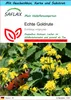 SAFLAX - Geschenk Set - Heilpflanzen - Echte Goldrute - 100 Produktbild-Vorschau 1