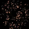 Kaemingk Lumineo Cluster Lichterkette 288 LED warmweiß Produktbild-Vorschau 14
