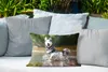 MuchoWow® Outdoor Kissen - Husky im Wasser - 50x30 cm - Produktbild-Vorschau 4
