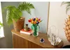 LEGO® Botanicals 11501 Le bouquet de tulipes Voir les images du produit 24