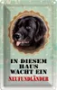 vianmo Blechschild 18x12 cm Hund diesem Haus wacht Produktbild-Vorschau 1