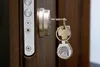 Art-Dog Sleutelhanger – Lagotto Romagnolo Productafbeelding-voorbeeld 7