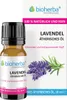 Bioherba Ätherisches reines Lavendelöl 10 ml Produktbild-Vorschau 1