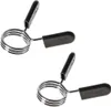 ZGS25 FEDERRINGE 25 mm HMS (2 Stk.) Produktbild-Vorschau 1