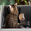 Fortuna Lai Maison pour chat pour lit ou litière  Armoire Voir les images du produit 7