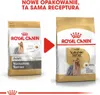 Two bags of Royal Canin Yorkshire Terrier dog food are shown side-by-side, with an arrow indicating a change in packaging but not the recipe. Produktbild-Vorschau