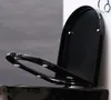 BERNSTEIN Duroplast WC-Sitz U1002 in Schwarz mit Produktbild-Vorschau 1