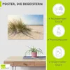 ARTland Poster Strandgras Größe: 70x50 cm Produktbild-Vorschau 2