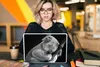 MuchoWow® Laptop Aufkleber Sticker Cover Koala - Schlafend Produktbild-Vorschau 5