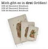 Mr. & Mrs. Panda notizbuch a4 Bär Lied - Transparent - Produktbild-Vorschau 5