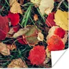 MuchoWow® Poster Blätter - November - Herbst - Natur Produktbild-Vorschau 1