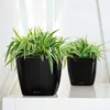 LECHUZA plantpot QUADRO Premium LS 21, rood, hoogglans | Productafbeelding-voorbeeld 14
