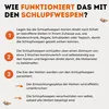 Schlupfwespen gegen Kleidermotten - 30 Karten (6 Karten á 5 Produktbild-Vorschau 4