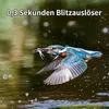 4G Wildkamera Solar, 4MP Kamera, PIR Bewegungsmelder, Produktbild-Vorschau 5