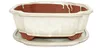 Bonsai-Schale mit Untersetzer Gr. 5 – hellbeige – Haitang Produktbild-Vorschau 1