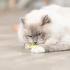Trixie 4 Noppenbälle aus Gummi - 3 cm Produktbild-Vorschau 9