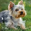 AniForte Augen-Reinigungspads für Hunde & Katzen 100 Stk - Produktbild-Vorschau 6