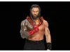 PLAYMOBIL WWE® Roman Reigns - Altri articoli Anteprima dell’immagine prodotto 4