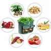 Veggie Bag 35 x 50 cm vrece na pestovanie zeleniny, 1 ks Náhľad obrázku produktu 3