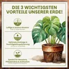 Green Home Aroid Erde 18 L – Spezialerde für Monstera, Produktbild-Vorschau 3