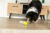 TRIXIE Dog Activity Snack Roll Intelligenzspielzeug ø 6 / ø Produktbild-Vorschau 13