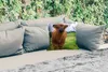 MuchoWow® Outdoor Kissen - Schottische Hochlandrind - Kühe Produktbild-Vorschau 2