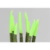 Close-up of several Sansevieria Cylindrica plants with bright green tips against a plain gray background. Anteprima dell’immagine prodotto