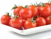 PLANTON P Mehrkomponentendünger für Tomaten 200g Produktbild-Vorschau 2