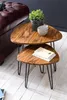 Designnový stolek wl5.659 sheesham metal side table set 2 Anteprima dell’immagine prodotto 6