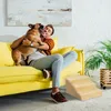 A man is sitting on a yellow couch, hugging his French bulldog. Next to the couch are pet stairs. Náhled obrázku produktu
