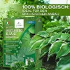 LERAVA® Kupferoxychlorid [Biologisch] - 800g - Verbessert Produktbild-Vorschau 6