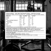 Optimum Nutrition Gold Standard 100% Whey Protein- 2,02kg Produktbild-Vorschau 6