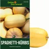 Spaghetti-Kürbis Vegetable Spaghetti Samen - Cucurbita pepo Produktbild-Vorschau 1