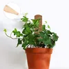 3 ks 450 mm kokosový totemový sloupek mechová tyč vláknitá Náhled obrázku produktu 6