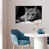 MuchoWow® Poster Katze - Tier - Makro 60x40 cm - Produktbild-Vorschau 5