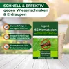 SC-Nematoden gegen Maulwurfsgrillen und Wiesenschnaken - 200 Mio. für 400 m² oder 1000 L Blumenerde – Anwendung und Produkteigenschaften Produktbild-Vorschau