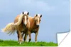 MuchoWow® Poster Pferde - Gras - Luft 30x20 cm - Plakate - Produktbild-Vorschau 1