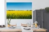 MuchoWow® Poster Ölsaat - Gelb - Frühling 180x120 cm - Produktbild-Vorschau 4
