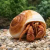 Lamarkiana Schneckenhaus Ryssota otaheitana 7,5 cm Produktbild-Vorschau 3